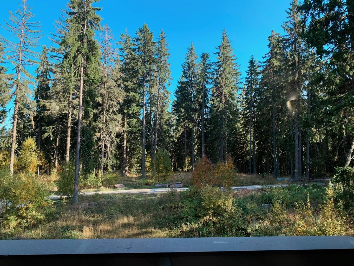 Evrika Home 21 Pamporovo Eksteriør billede