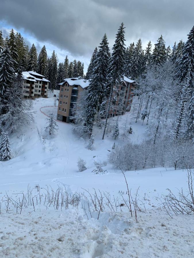 Evrika Home 21 Pamporovo Eksteriør billede